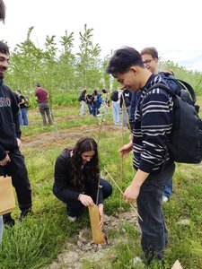 Università di Parma, Festivaletteratura e Fermi insieme