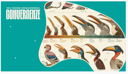 XXIV edizione del Festival "Bergamoscienza"